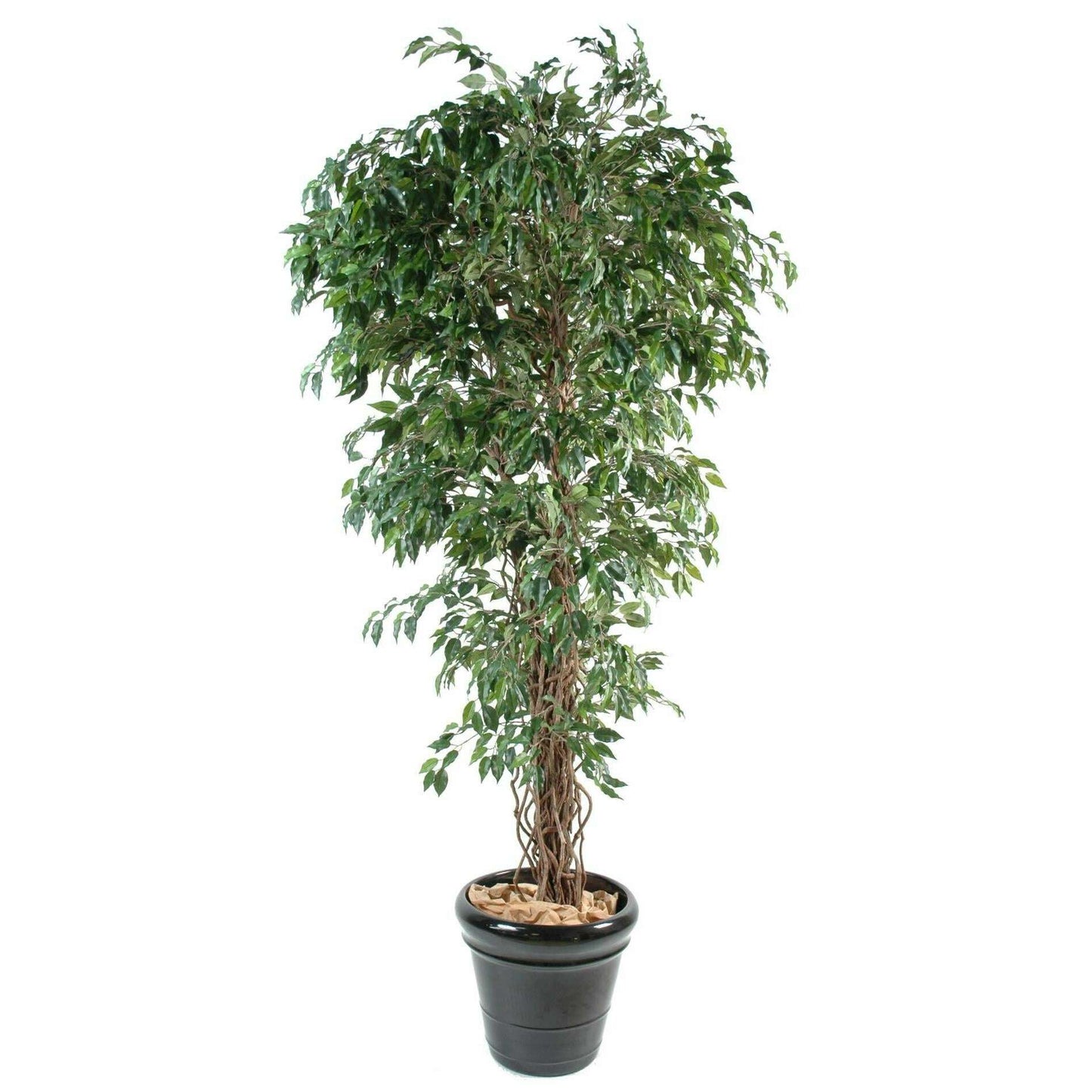 Arbre artificiel Ficus lianes petites feuilles - plante d'intérieur - H.180cm vert