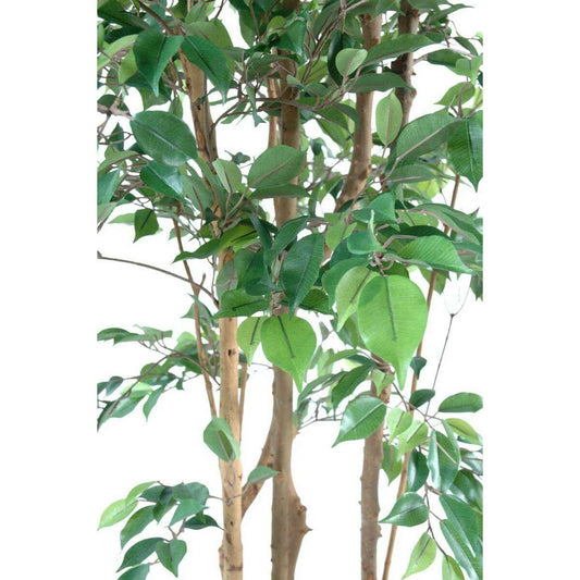 Arbre artificiel Ficus Natasja multi-troncs - plante synthétique intérieur - H.210cm
