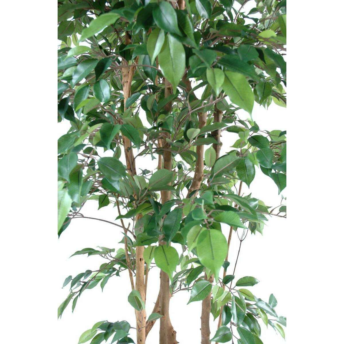 Arbre artificiel Ficus Natasja multi-troncs - plante synthétique intérieur - H.210cm