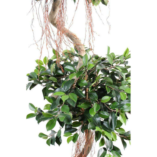 Arbre artificiel Ficus spirale 2 boules - plante d'intérieur - H.180cm vert