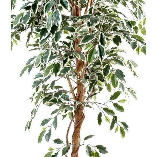 Arbre artificiel Ficus tronc simple - plante semi naturelle - H.180cm panaché