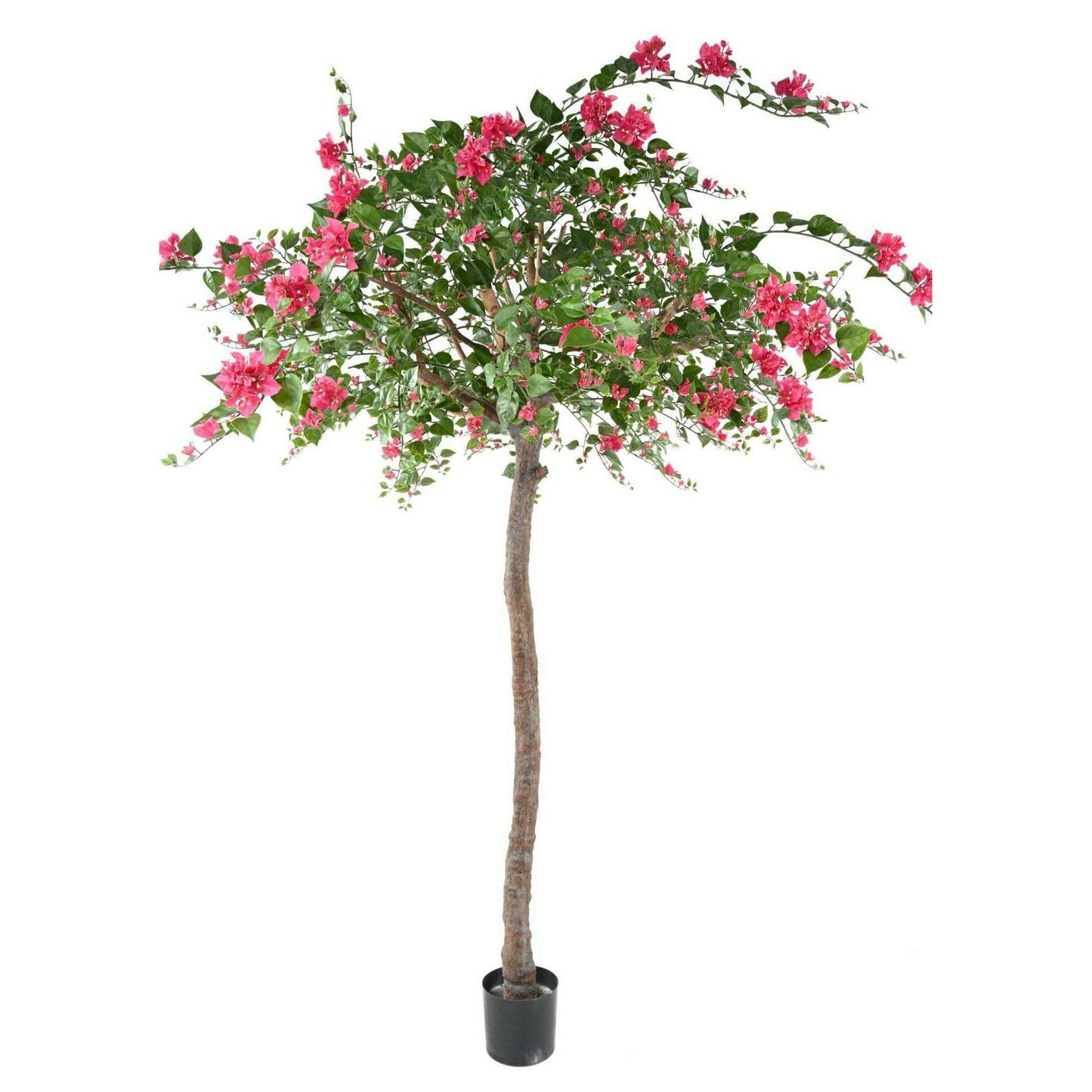 Arbre artificiel fleuri Bougainvillier Tree - plante d'intérieur - H.280cm Fuchsia