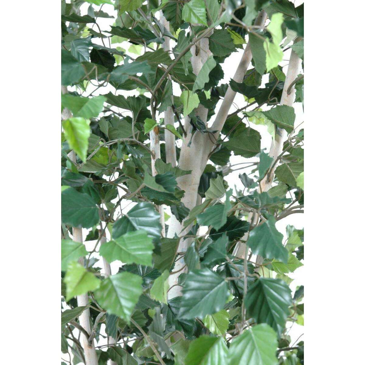 Arbre artificiel forestier Bouleau - plante pour intérieur - H.210cm
