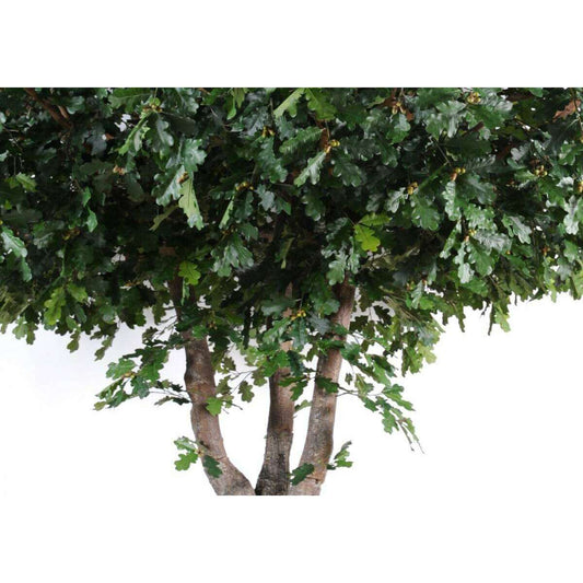 Arbre artificiel forestier Chêne - plante d'intérieur - H.350cm feuillage vert