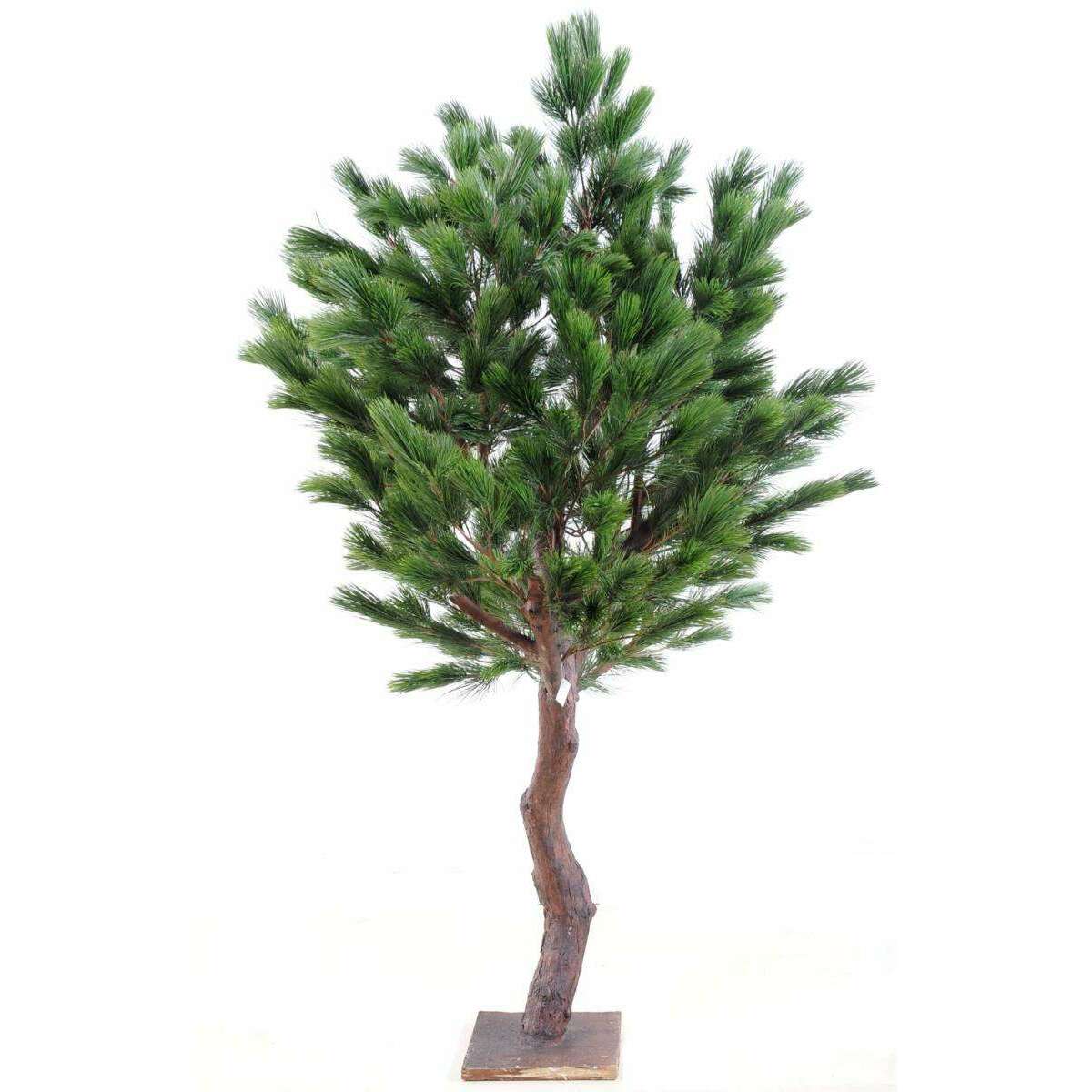 Arbre artificiel forestier Pin Autriche large - arbre méditerranéen intérieur - H.210cm