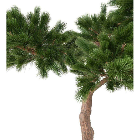 Arbre artificiel forestier Pin Umbrella - arbre méditerranéen intérieur - H.240cm