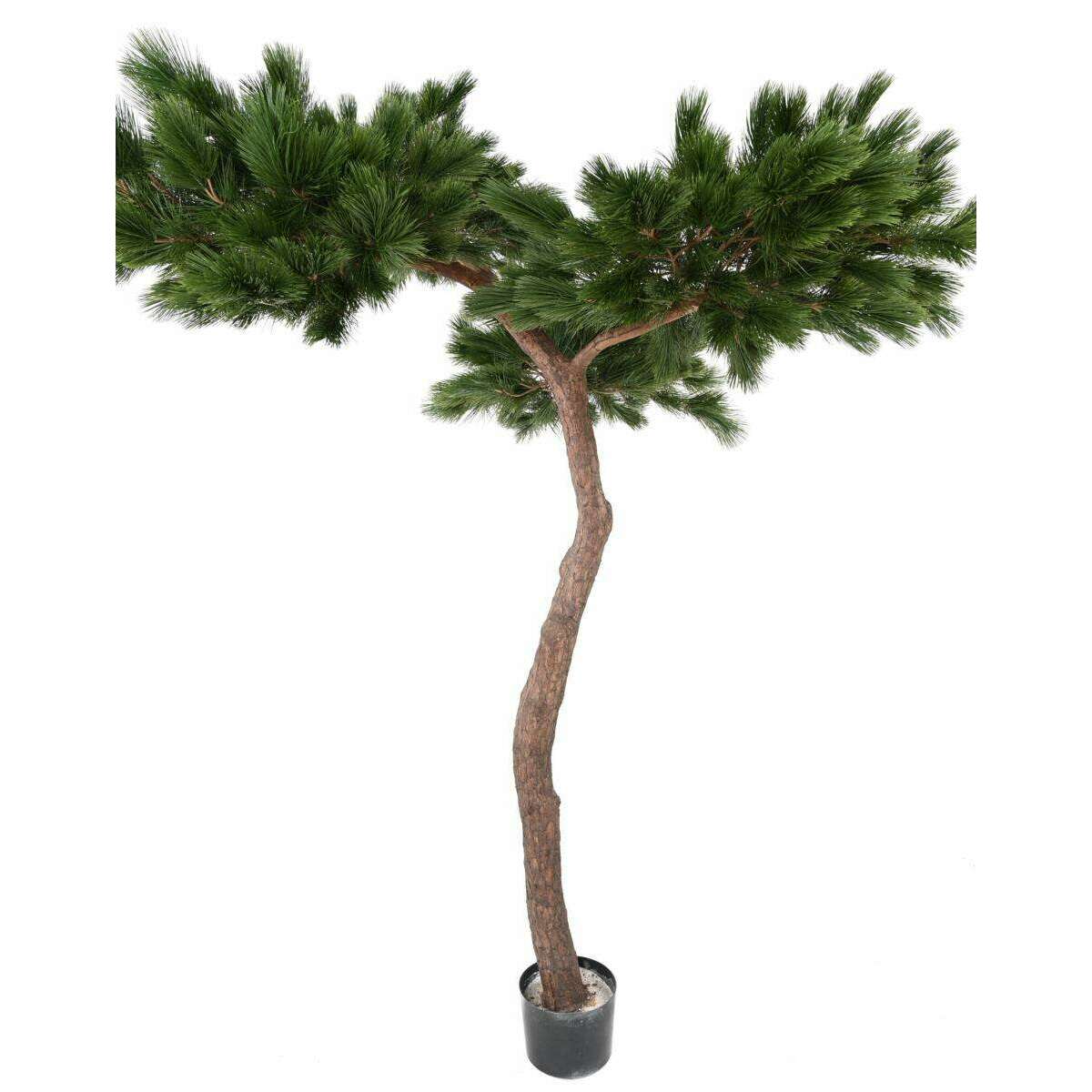 Arbre artificiel forestier Pin Umbrella - arbre méditerranéen intérieur - H.240cm