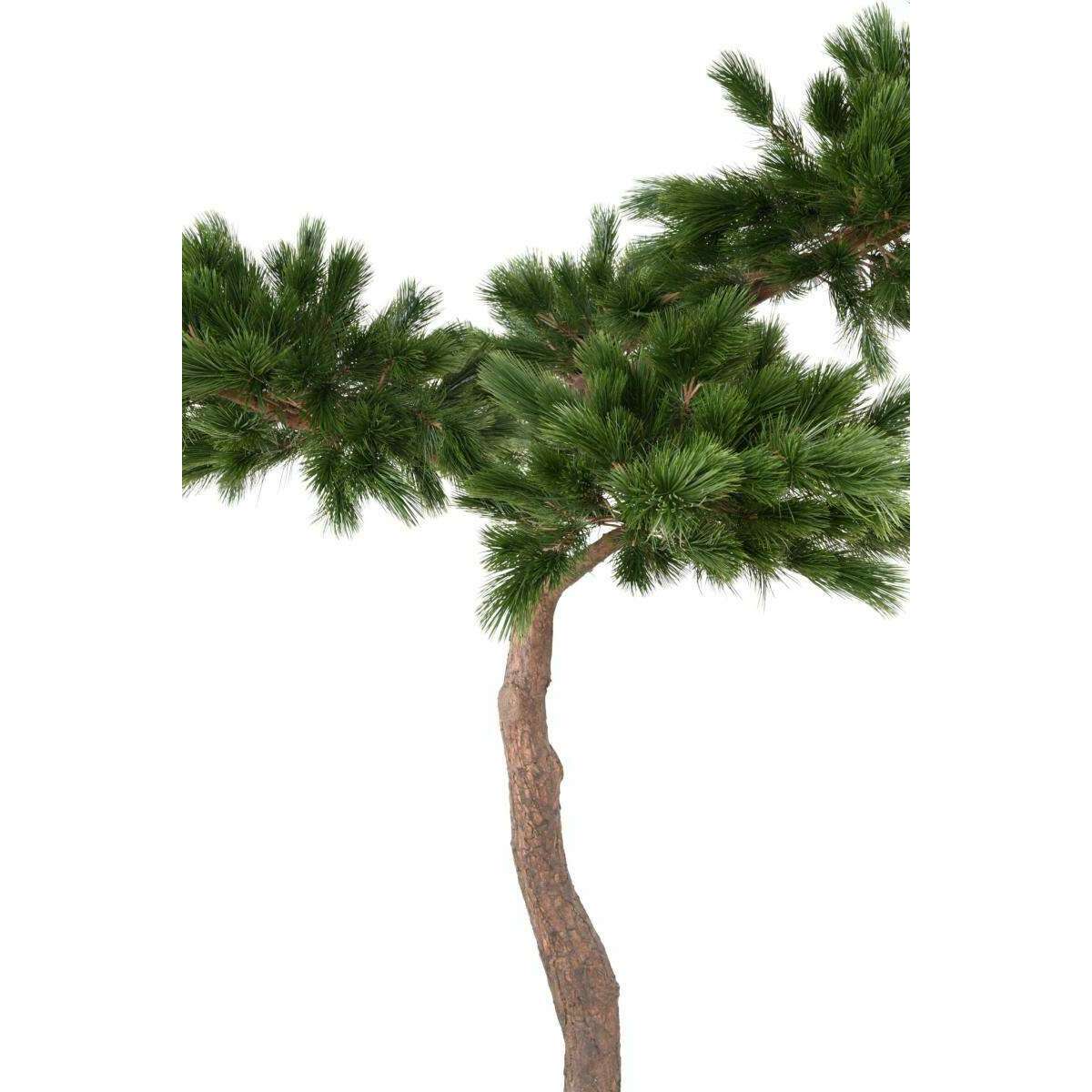 Arbre artificiel forestier Pin Umbrella - arbre méditerranéen intérieur - H.240cm