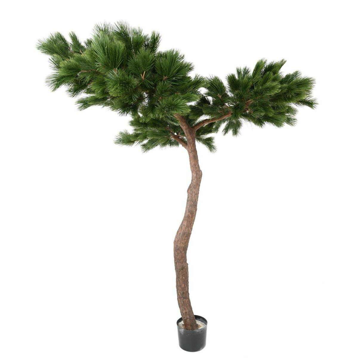 Arbre artificiel forestier Pin Umbrella - arbre méditerranéen intérieur - H.240cm