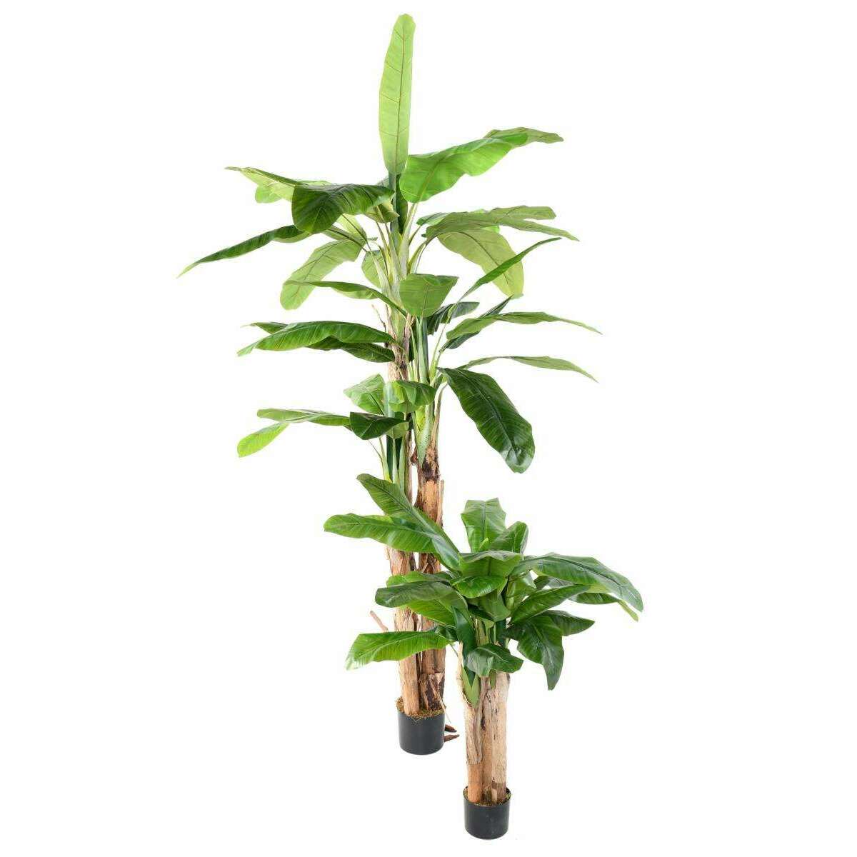 Arbre artificiel fruitier Bananier 3 troncs - intérieur - H.240cm vert