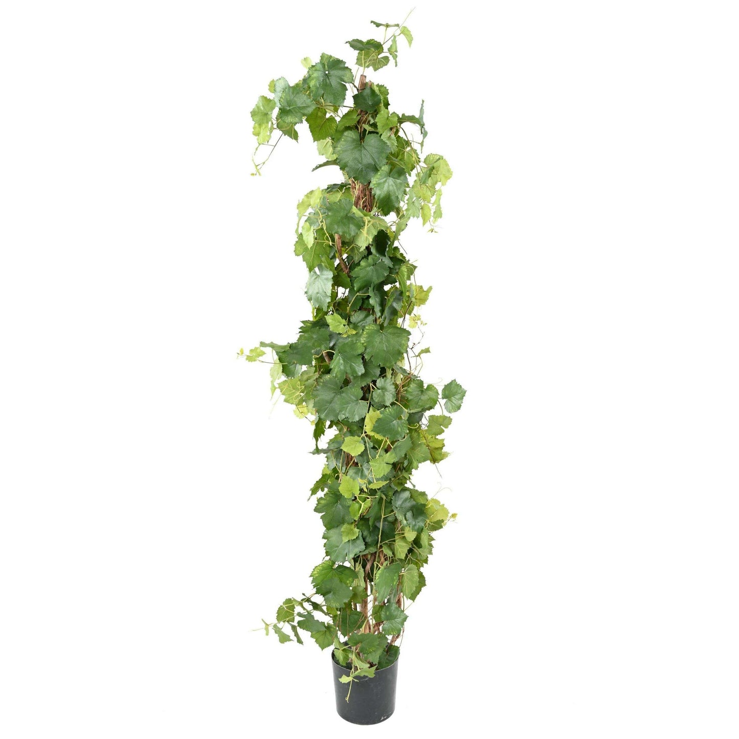 Arbre artificiel fruitier Vigne - plante pour intérieur - H.200cm