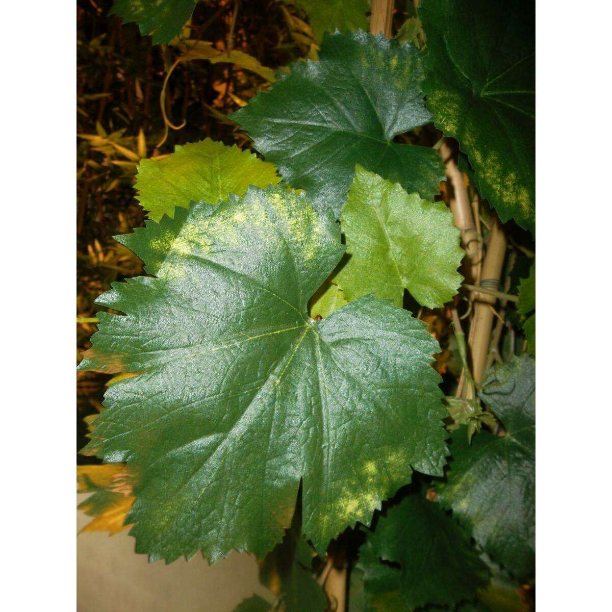 Arbre artificiel fruitier Vigne - plante pour intérieur - H.200cm
