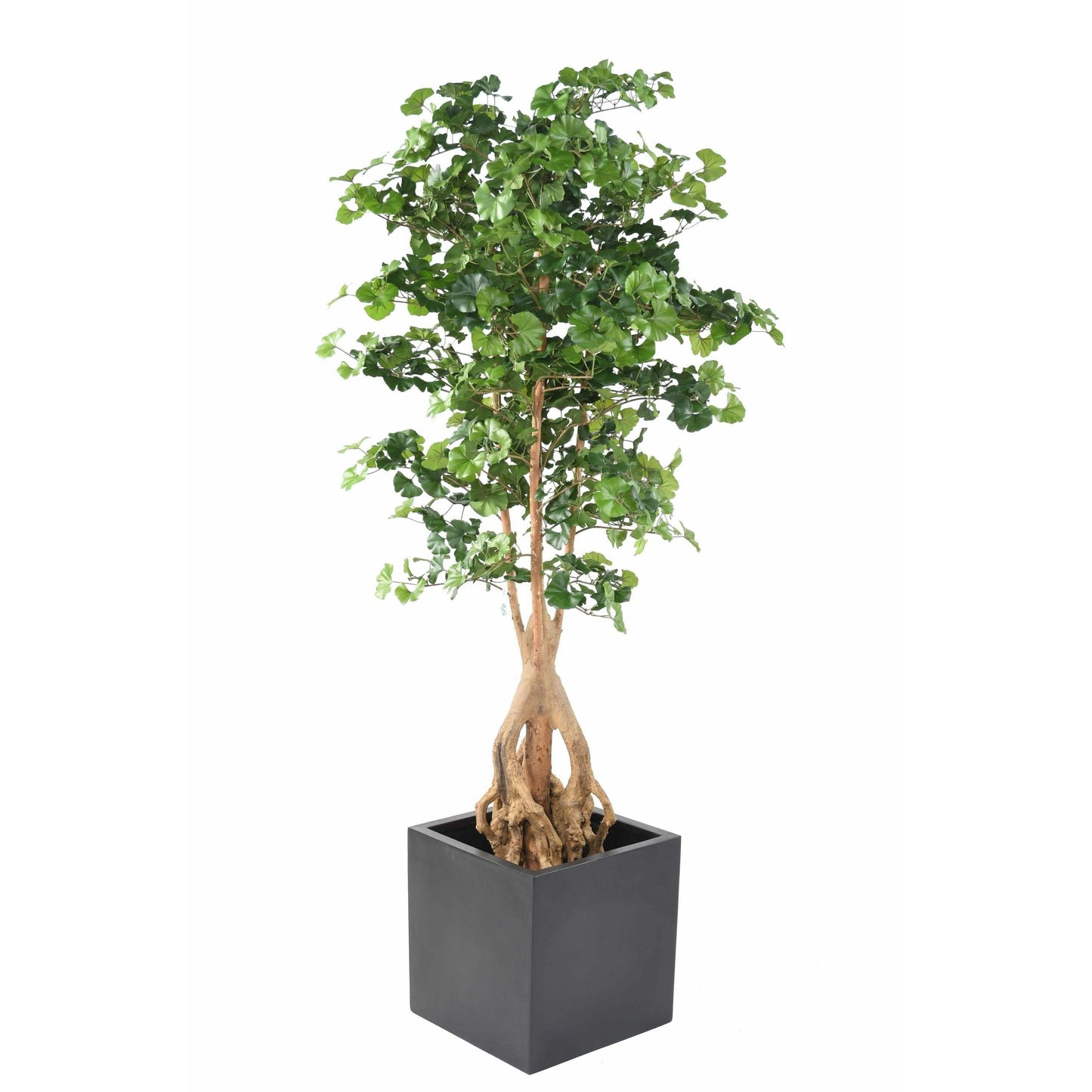 Arbre artificiel Ginkgo biloba root - plante synthétique d'intérieur - H.180cm