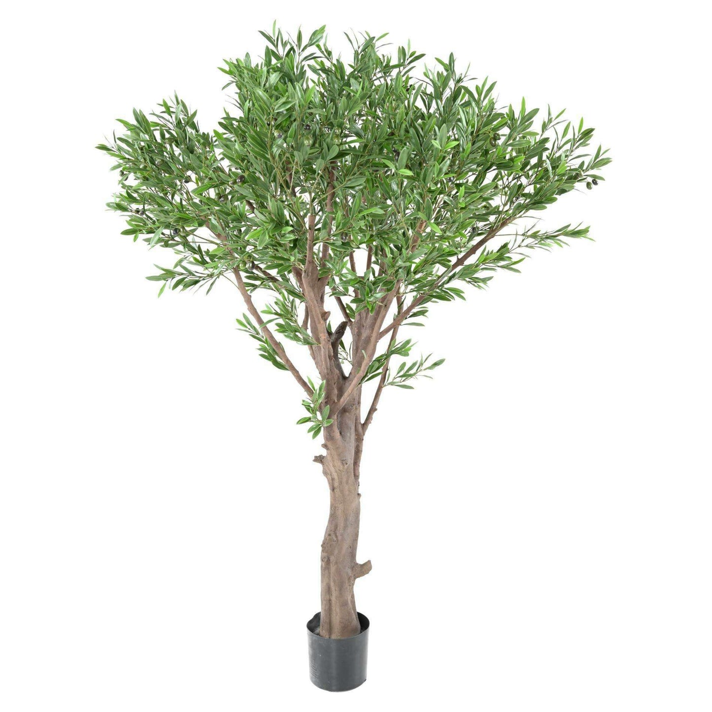 Arbre artificiel Olivier géant PLAST UV - décoration pour extérieur - H.185cm