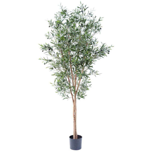 Arbre artificiel Olivier large 3 troncs - décoration pour intérieur - H.180cm
