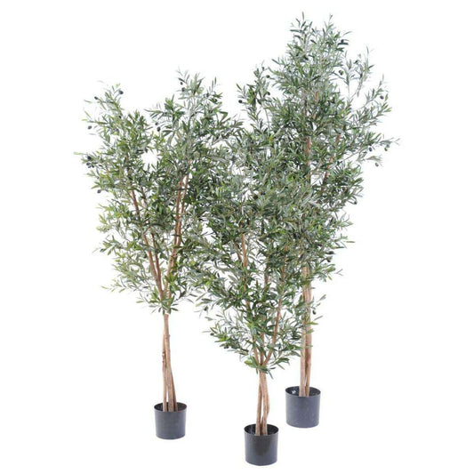 Arbre artificiel Olivier large 3 troncs - décoration pour intérieur - H.210cm