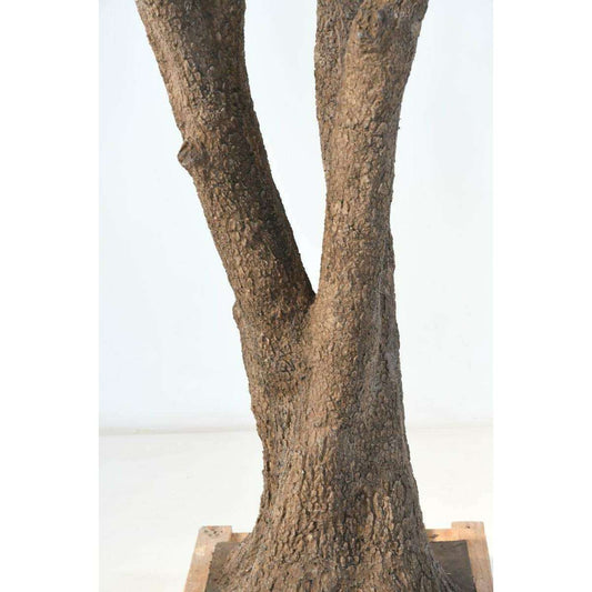 Arbre artificiel Olivier NC - plante pour intérieur - H.330cm