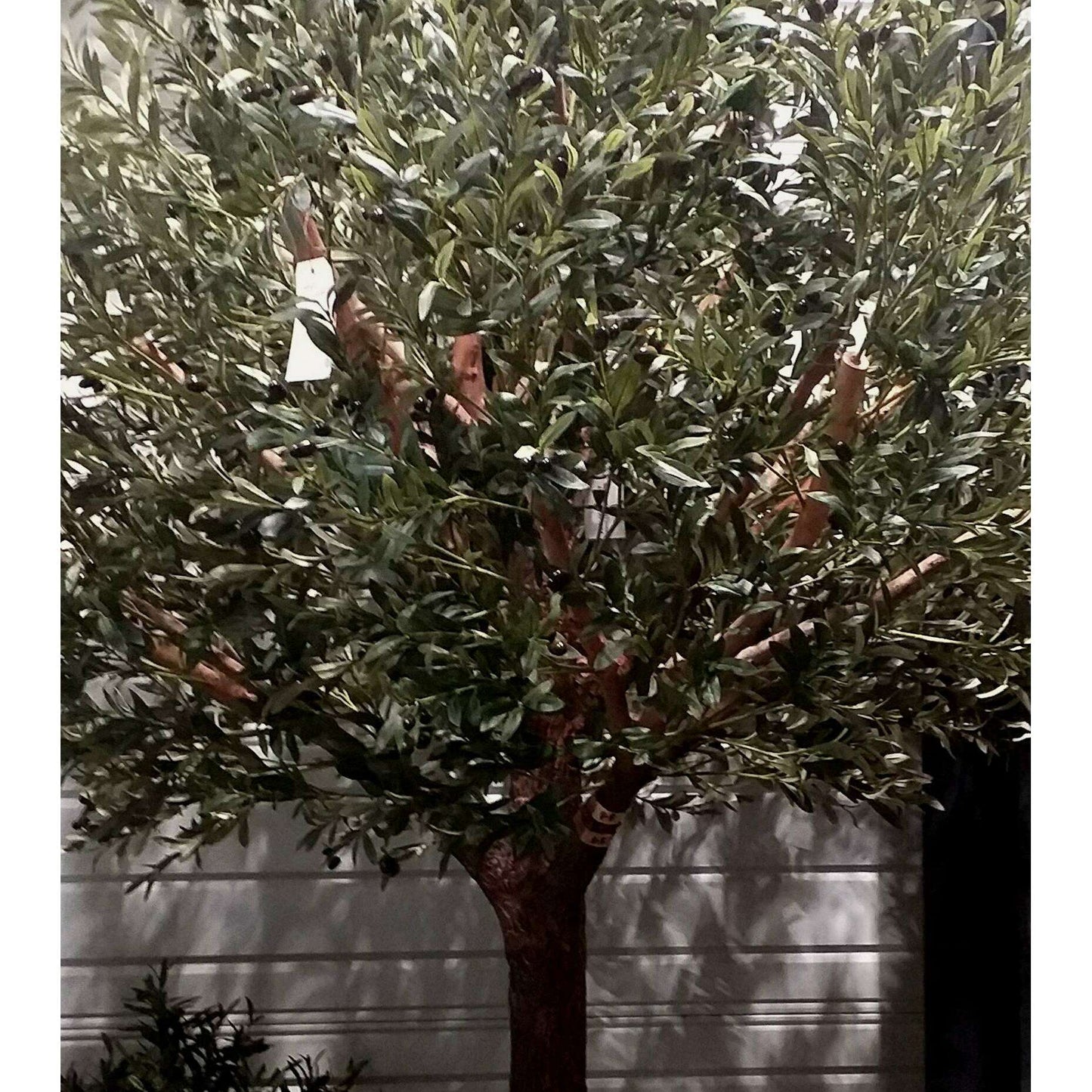 Arbre artificiel Olivier sur platine - plante pour intérieur - H.270cm