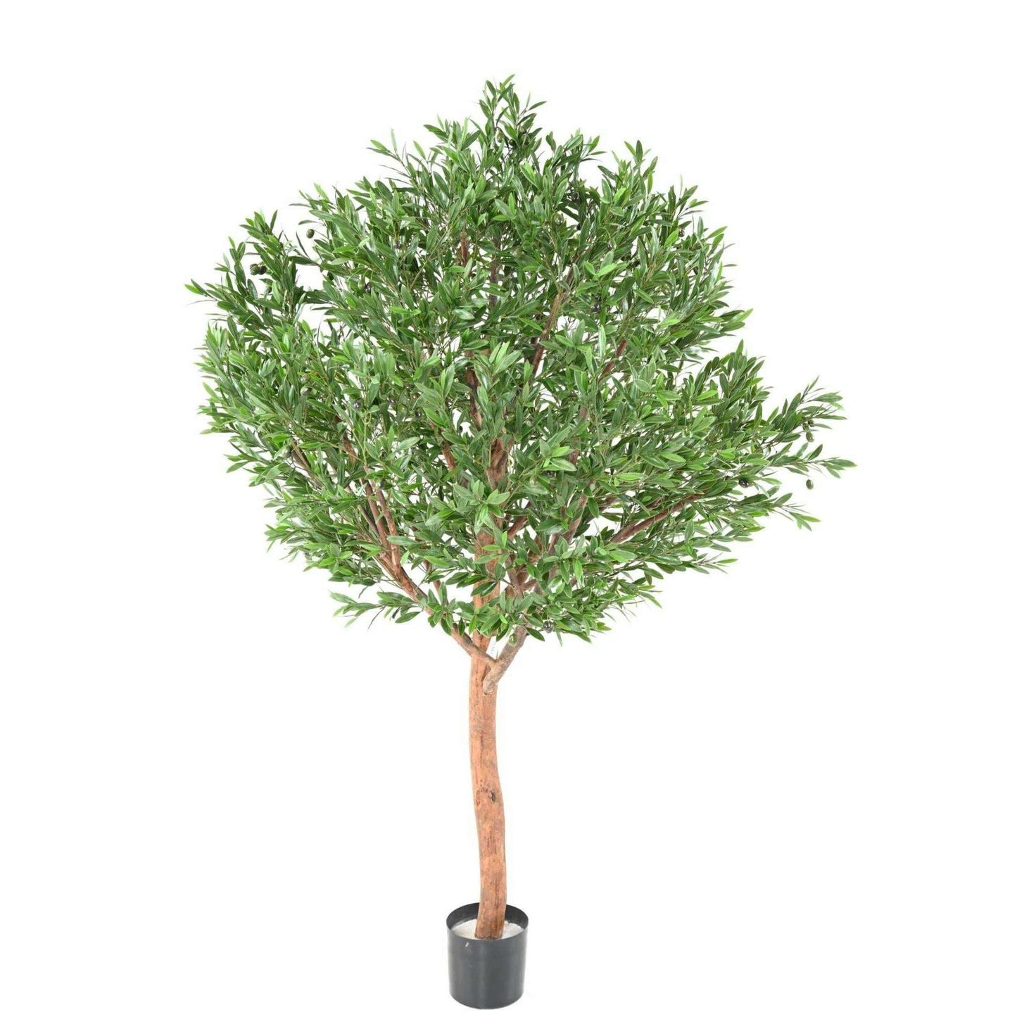 Arbre artificiel Olivier tête large PLAST UV - décoration pour extérieur - H.210cm