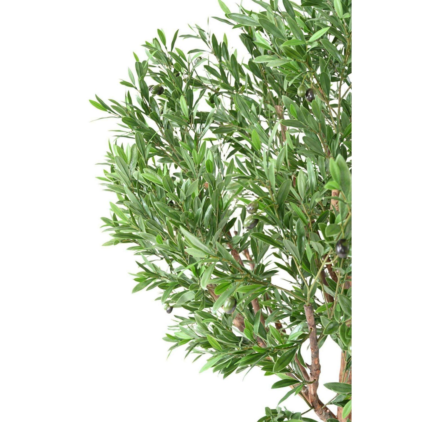 Arbre artificiel Olivier tête large PLAST UV - décoration pour extérieur - H.210cm