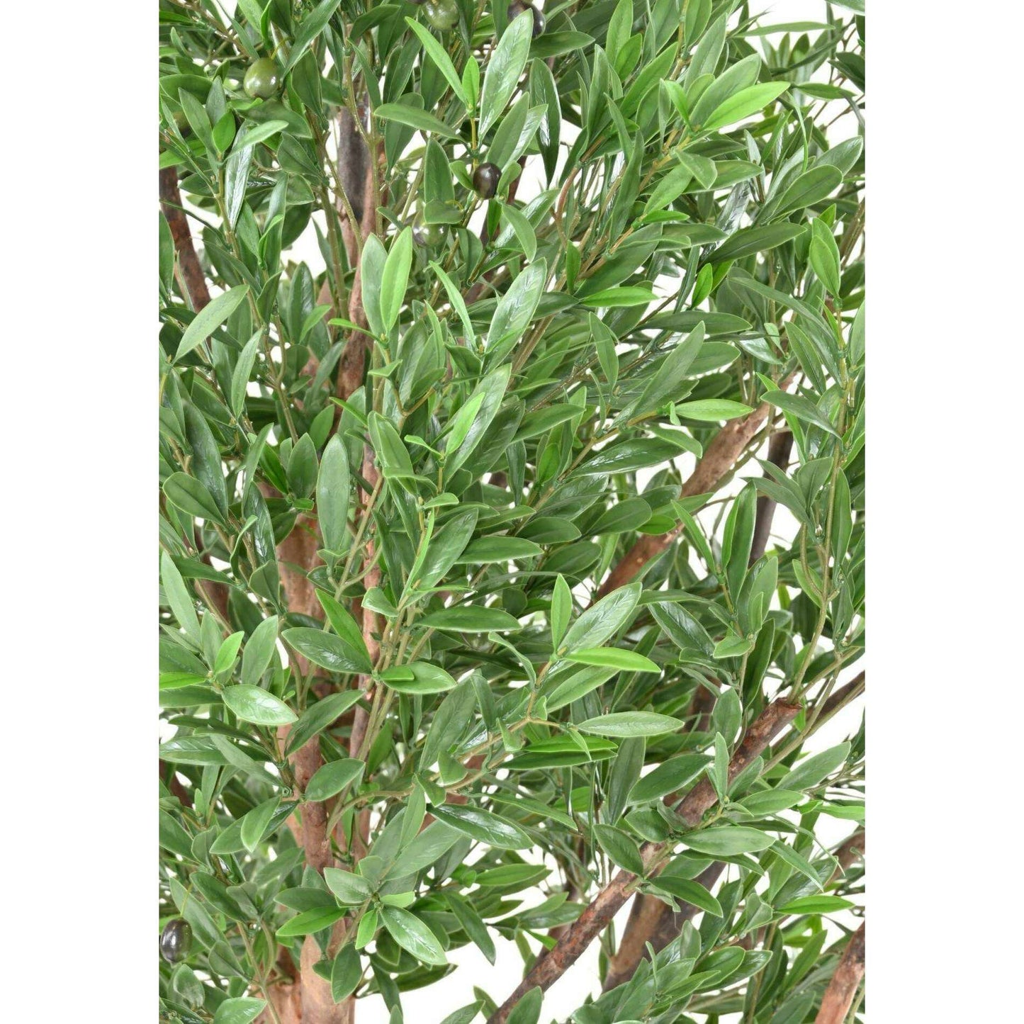 Arbre artificiel Olivier tête large PLAST UV - décoration pour extérieur - H.210cm