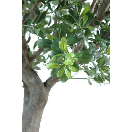 Arbre artificiel Pittosporum - plante décoration d'intérieur - H.260cm