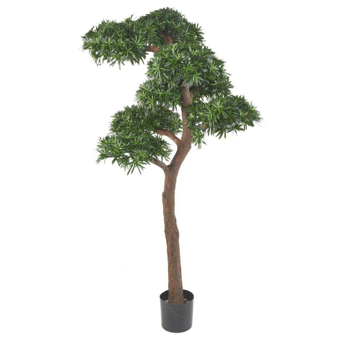 Arbre artificiel Podocarpus Bonsaï UV - intérieur extérieur - H.210cm