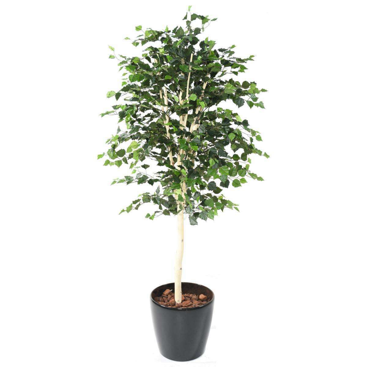 Arbre forestier artificiel Bouleau TS - décoration d'intérieur - H.170cm