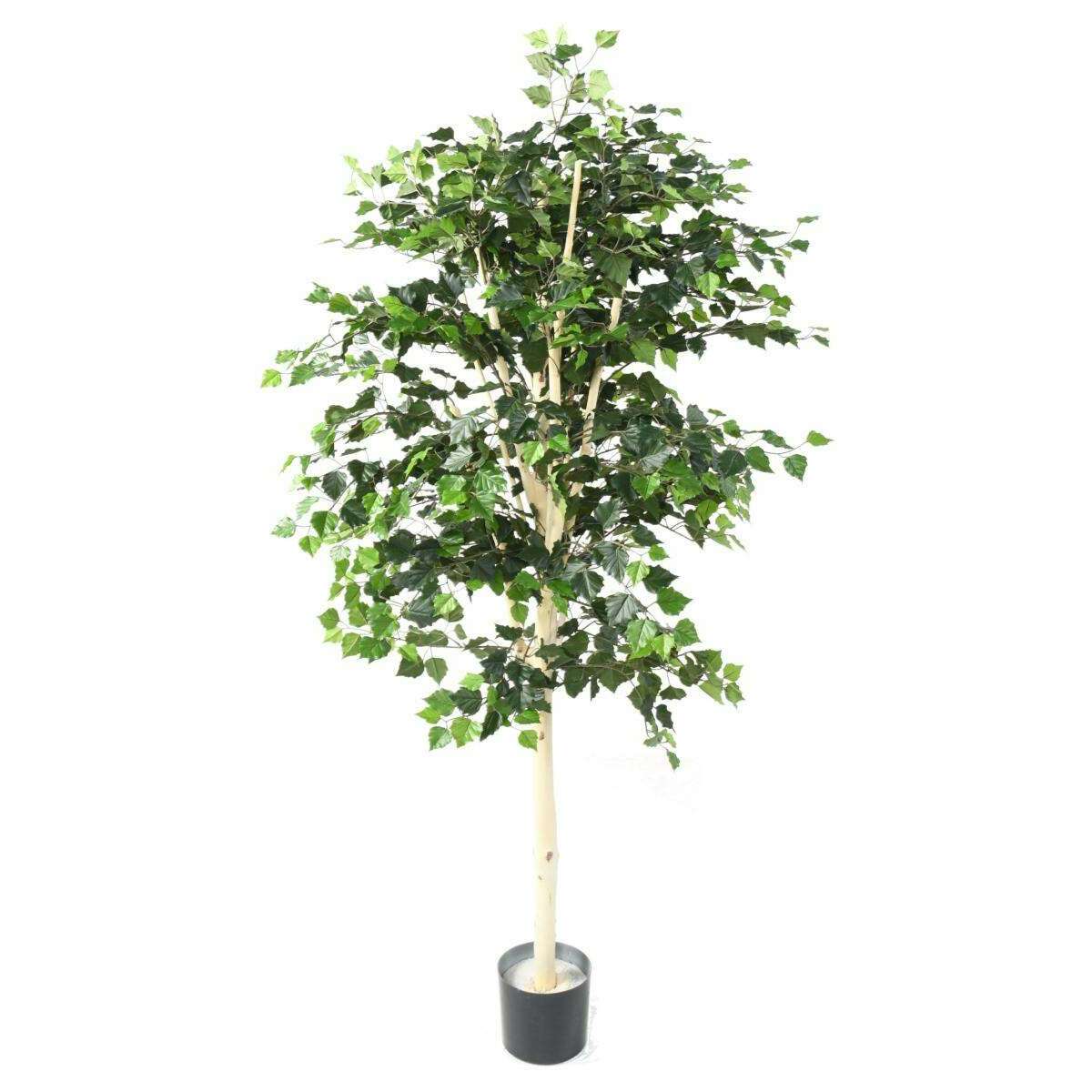 Arbre forestier artificiel Bouleau TS - décoration d'intérieur - H.170cm
