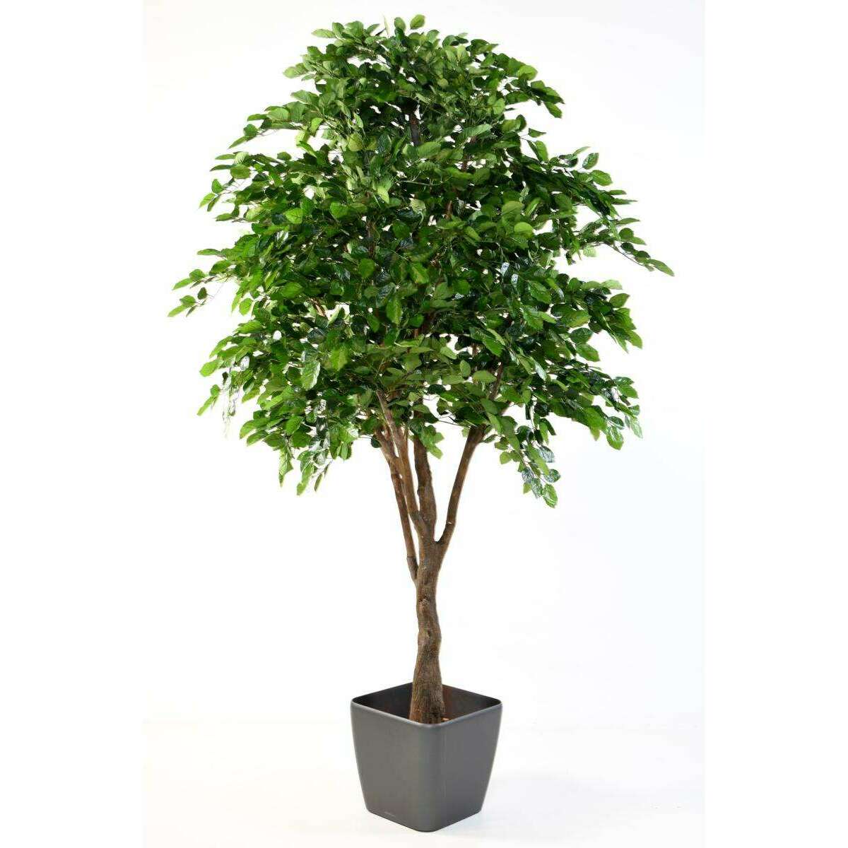 Arbre forestier artificiel Hêtre - décoration d'intérieur - H.280cm
