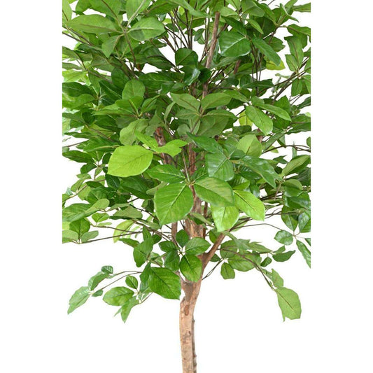 Arbre forestier artificiel Hêtre Grandifolia - décoration d'intérieur - H.160cm