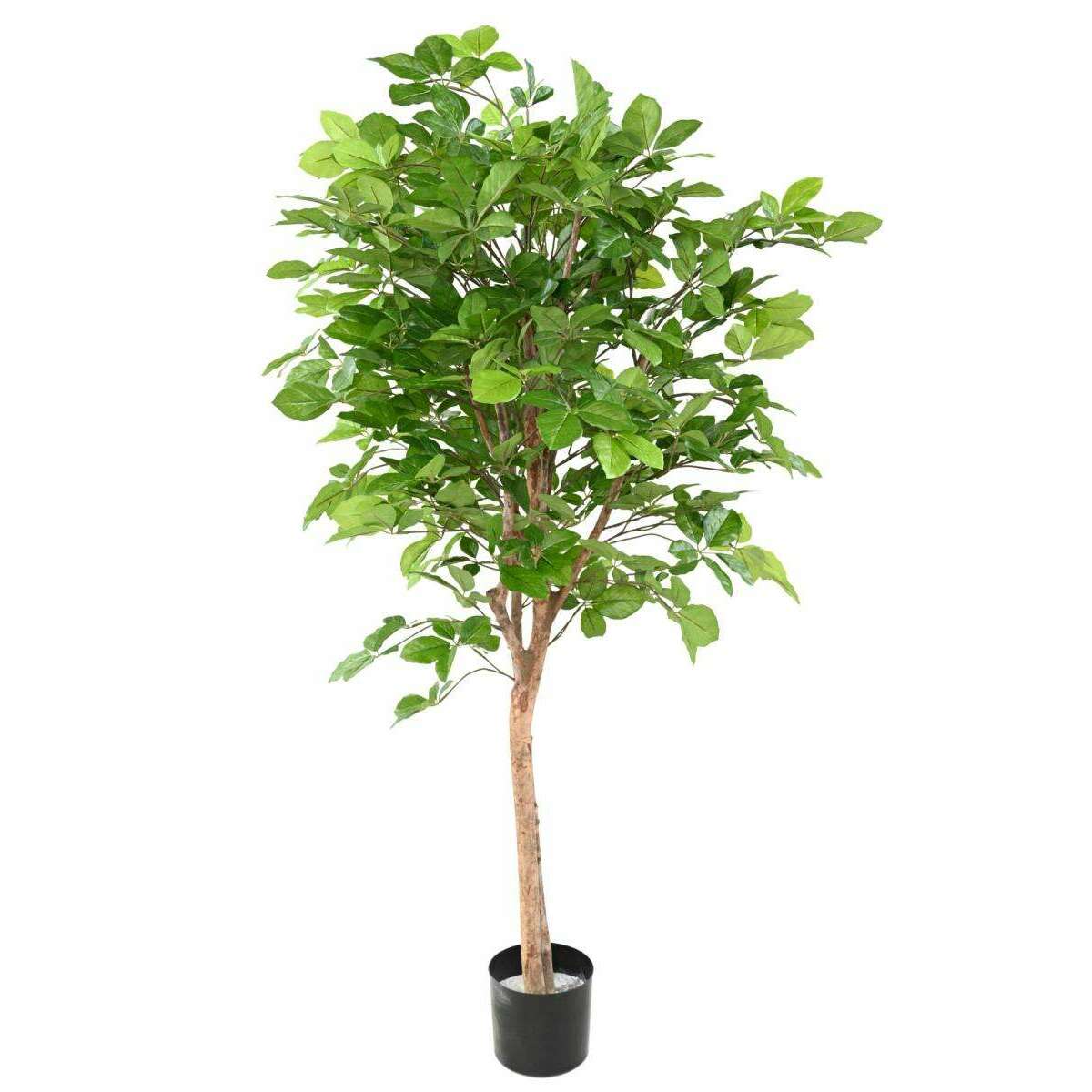 Arbre forestier artificiel Hêtre Grandifolia - décoration d'intérieur - H.160cm