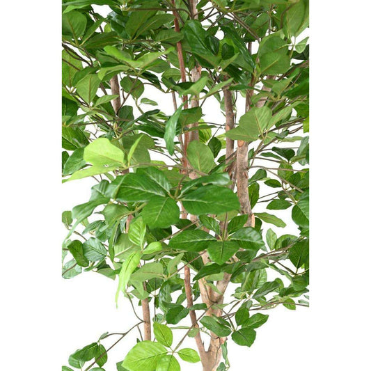 Arbre forestier artificiel Hêtre Grandifolia - décoration d'intérieur - H.190cm