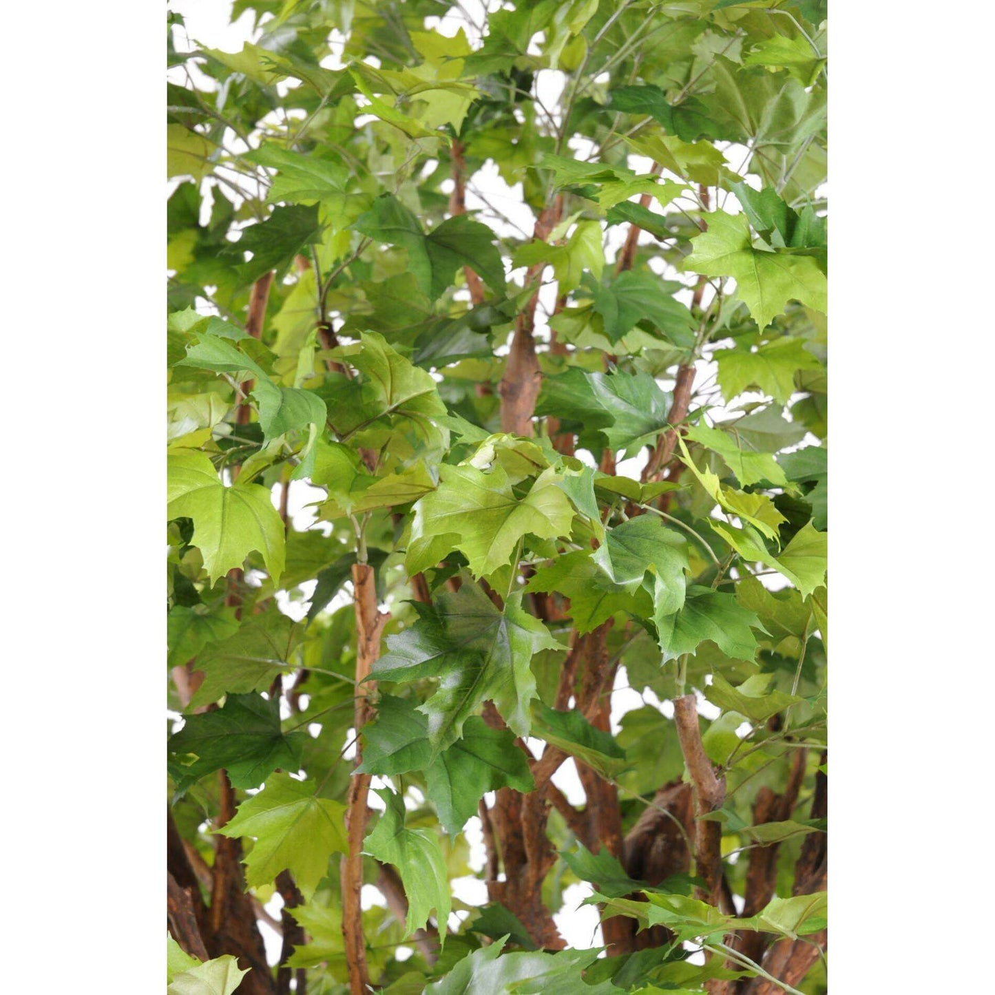 Arbre forestier artificiel Platane - décoration pour intérieur - H.350cm