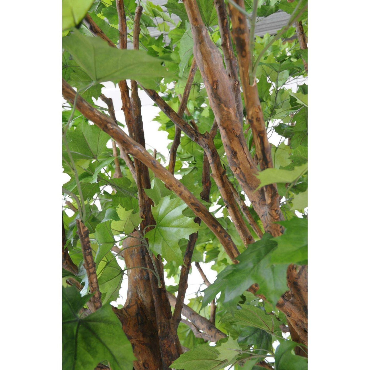 Arbre forestier artificiel Platane - décoration pour intérieur - H.350cm