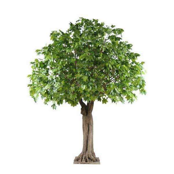 Arbre forestier artificiel Platane - décoration pour intérieur - H.620cm