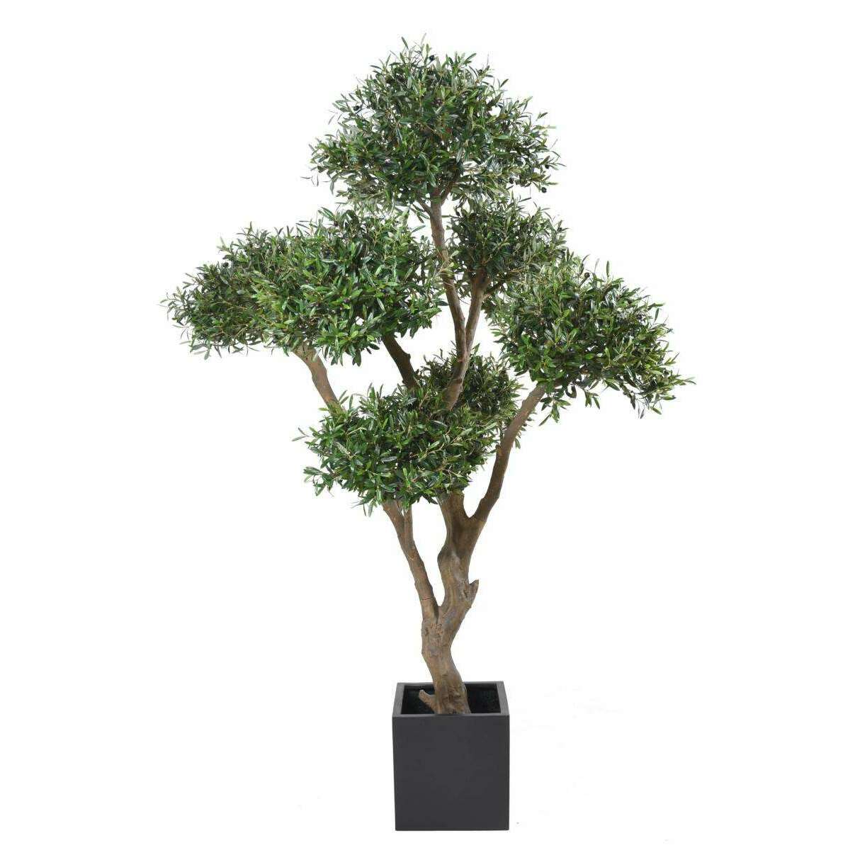 Arbre fruitier artificiel Olivier bonsaï nuage - plante pour intérieur - H.270cm