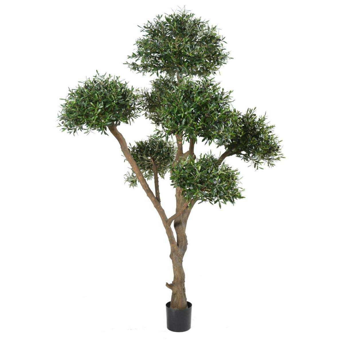 Arbre fruitier artificiel Olivier bonsaï nuage - plante pour intérieur - H.270cm