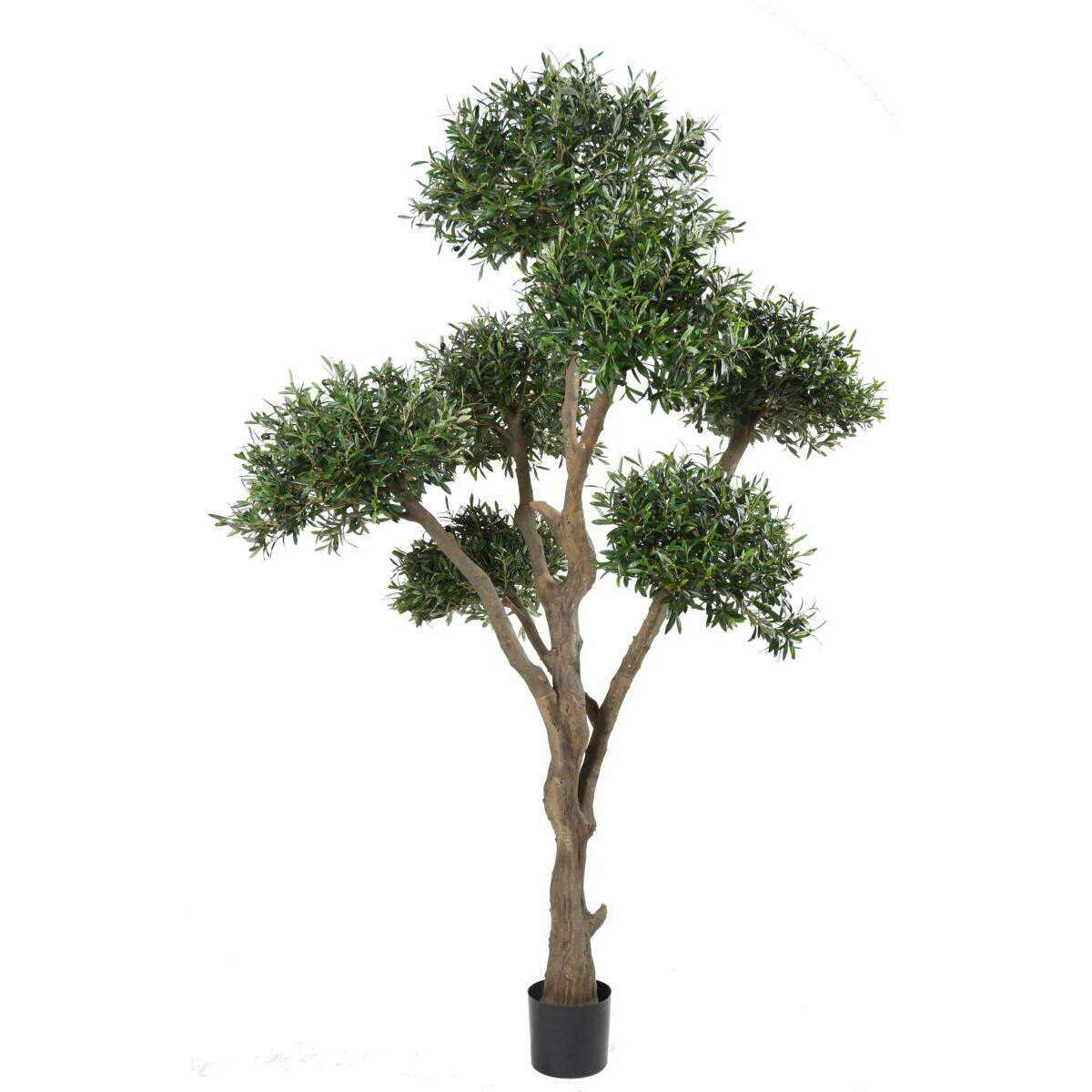 Arbre fruitier artificiel Olivier bonsaï nuage - plante pour intérieur - H.270cm