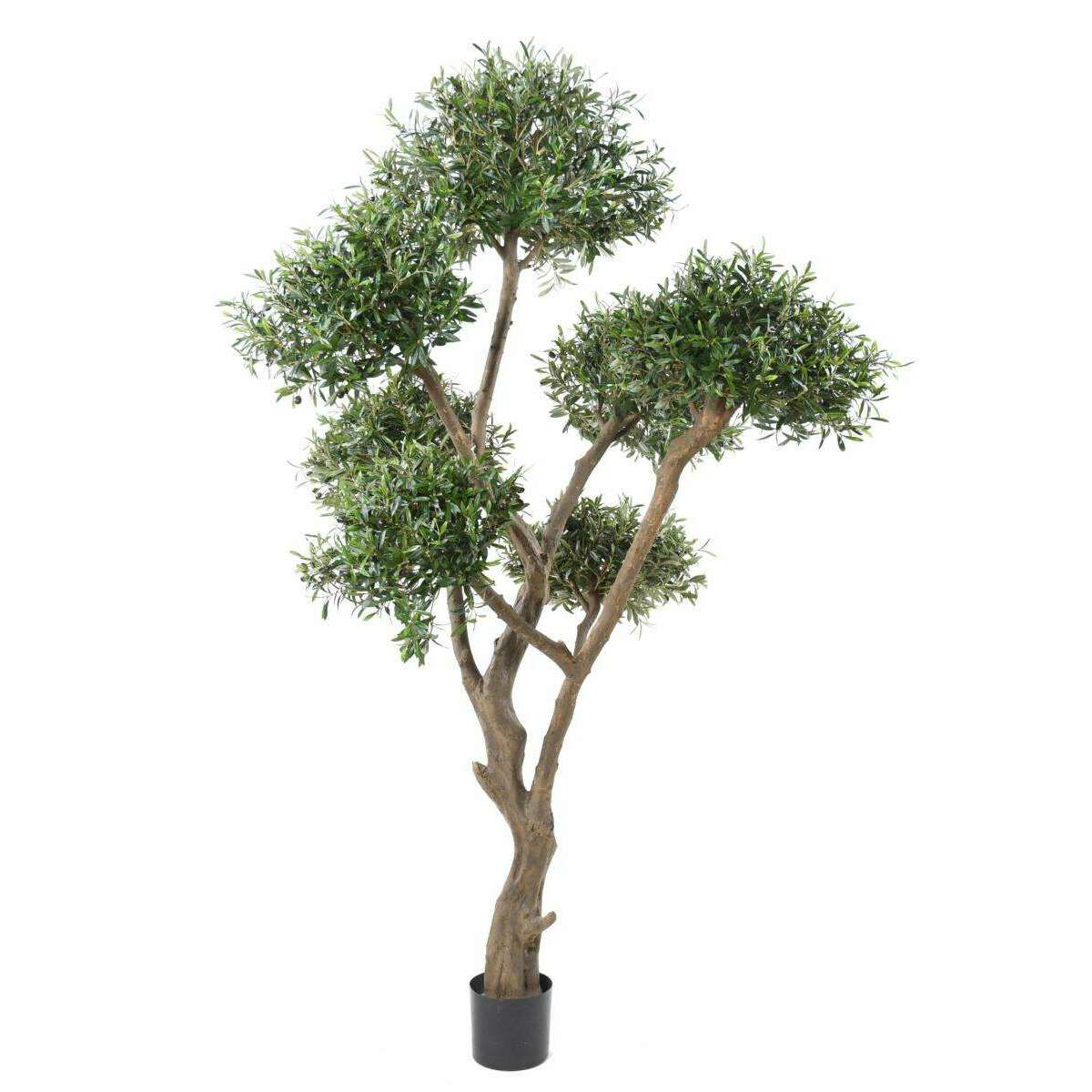 Arbre fruitier artificiel Olivier bonsaï nuage - plante pour intérieur - H.270cm