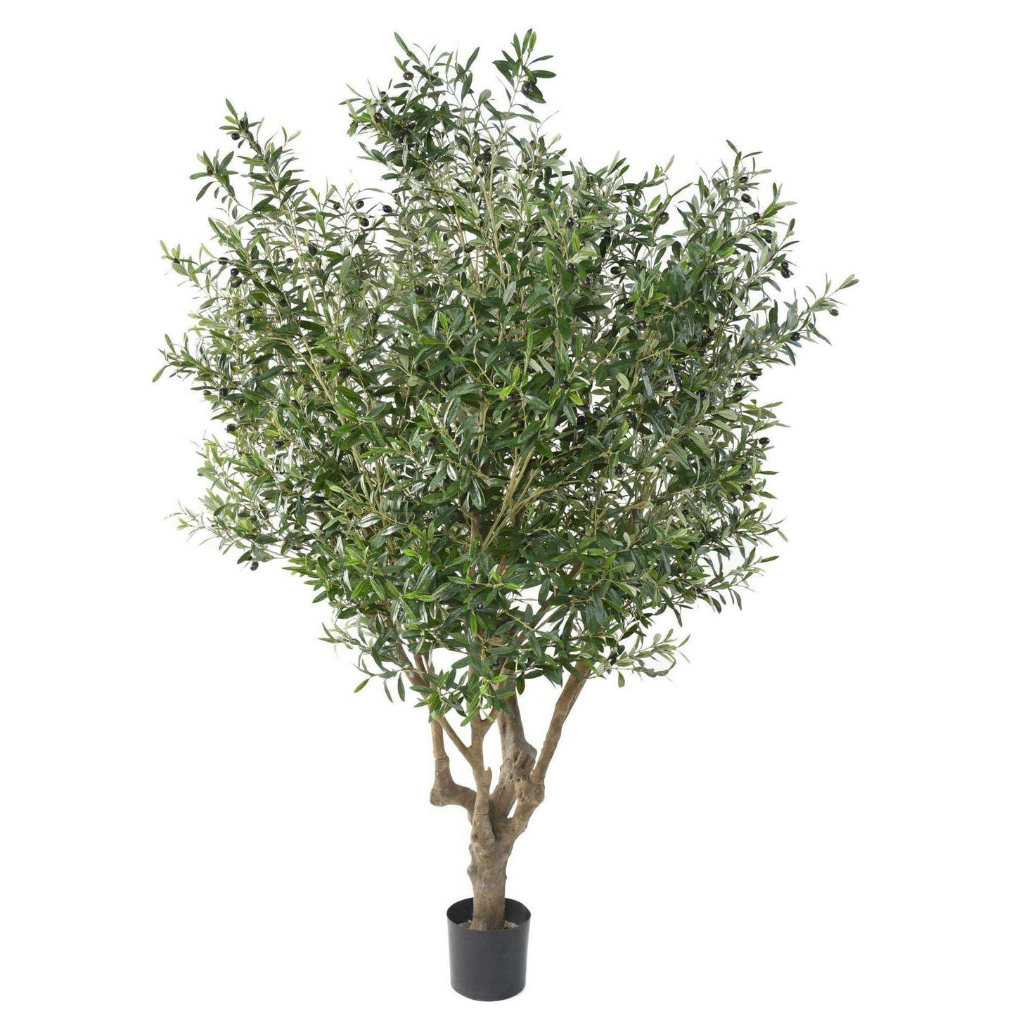Arbre fruitier artificiel Olivier large - plante d'intérieur - H.215cm