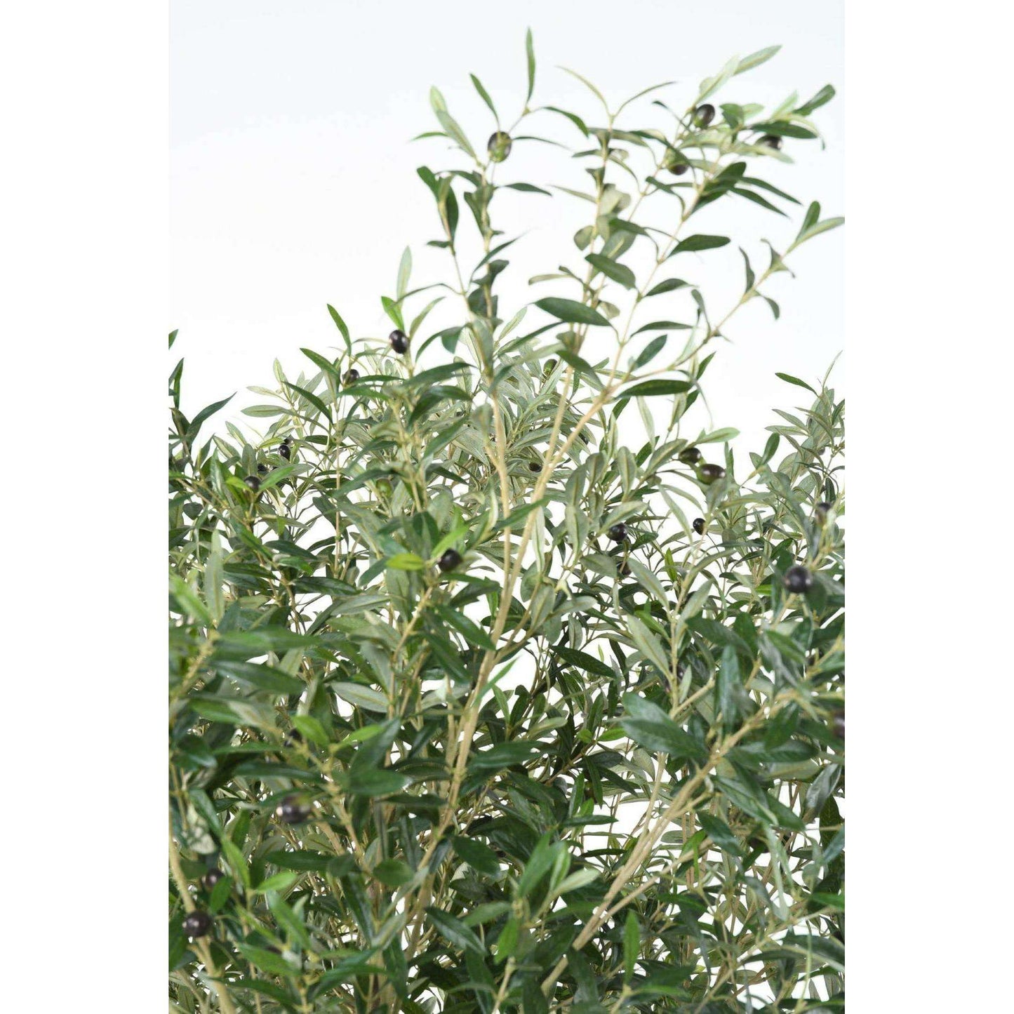 Arbre fruitier artificiel Olivier large - plante d'intérieur - H.215cm