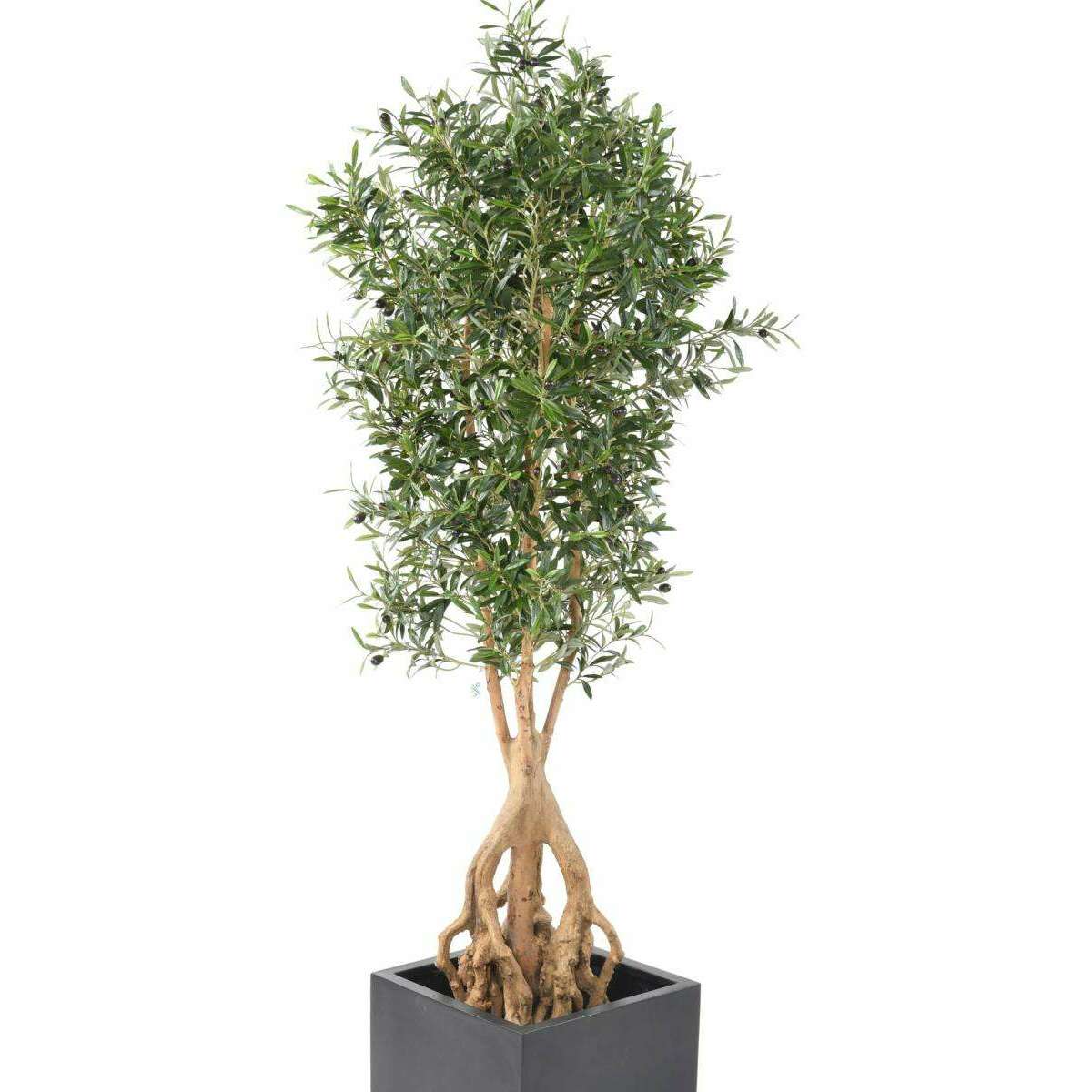 Arbre fruitier artificiel Olivier Root et olives - plante pour intérieur - H.175cm