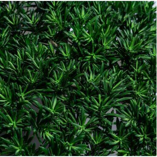 Arbre japonais artificiel Podocarpus nuage anti-UV - intérieur extérieur - H.155cm