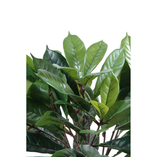 Arbuste artificiel Cyathistipula - Figuier africain d'intérieur - H.50cm