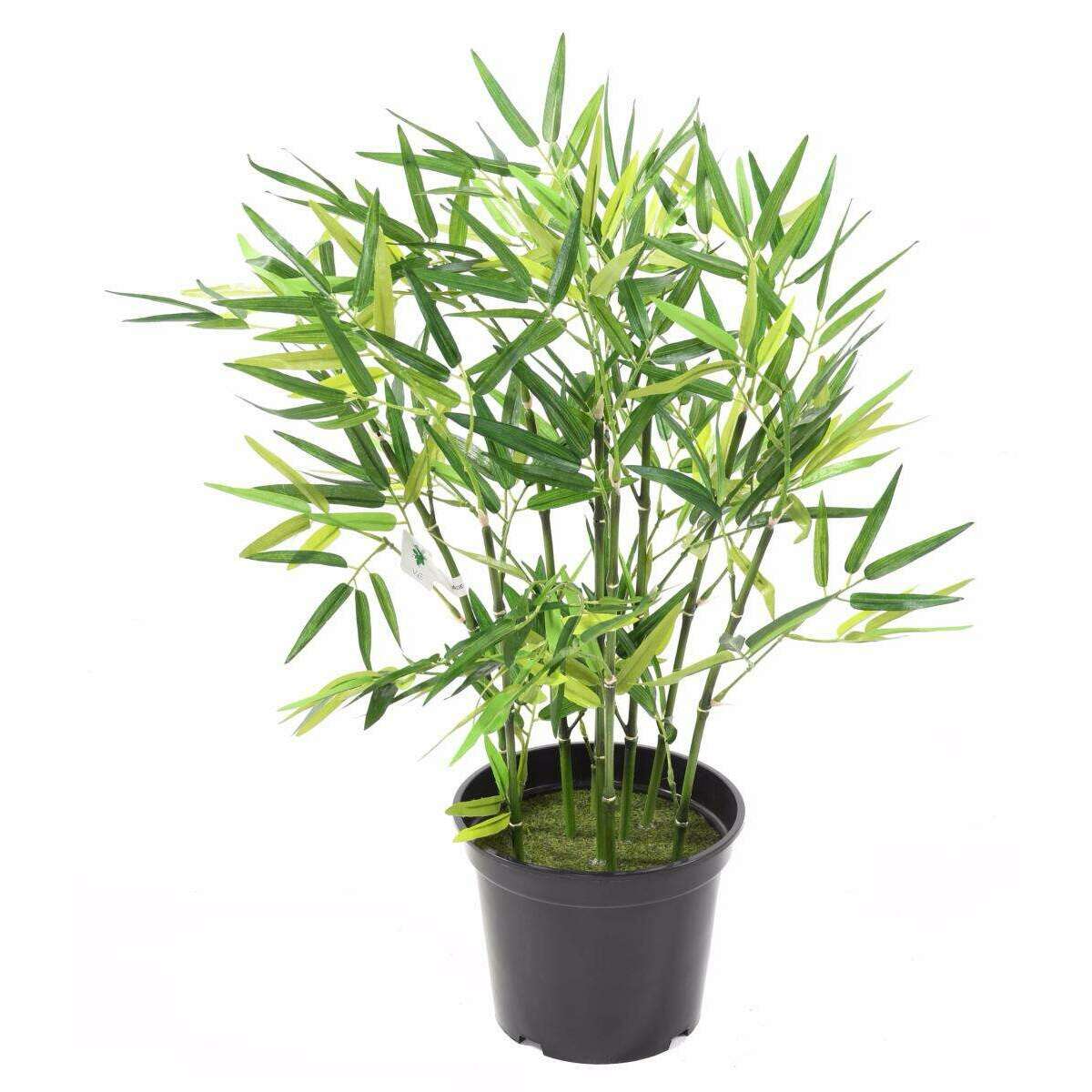 Bambou artificiel arbuste cannes vertes - plante d'intérieur - H.60cm vert B1