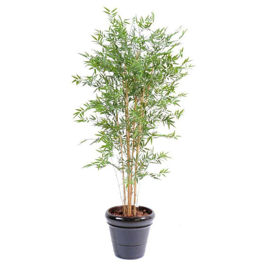 Bambou artificiel Japanese UV résistant - intérieur extérieur - H.180cm vert