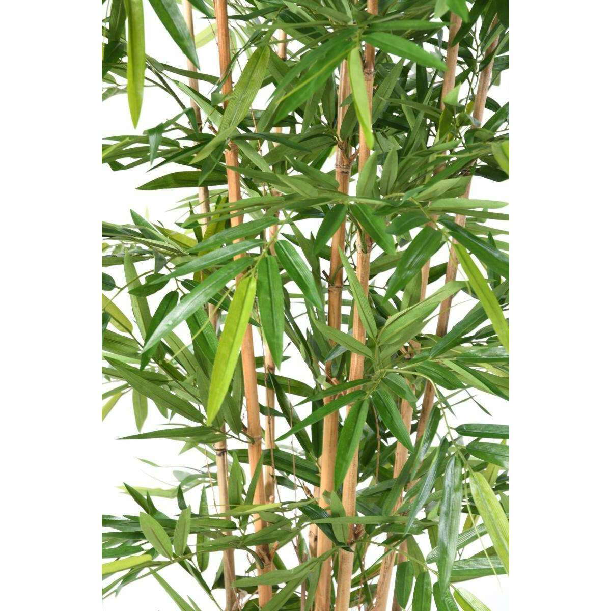 Bambou artificiel Luxe 8 cannes naturelles - intérieur - H.210cm vert