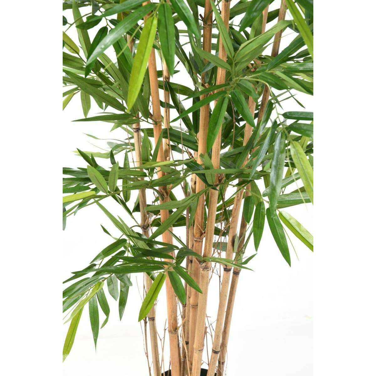 Bambou artificiel Luxe 8 cannes naturelles - intérieur - H.210cm vert