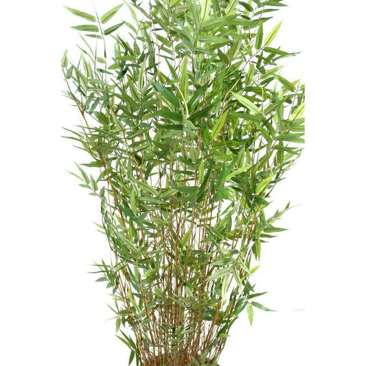 Bambou artificiel Oriental 11 cannes fines - plante d'intérieur - H.130cm